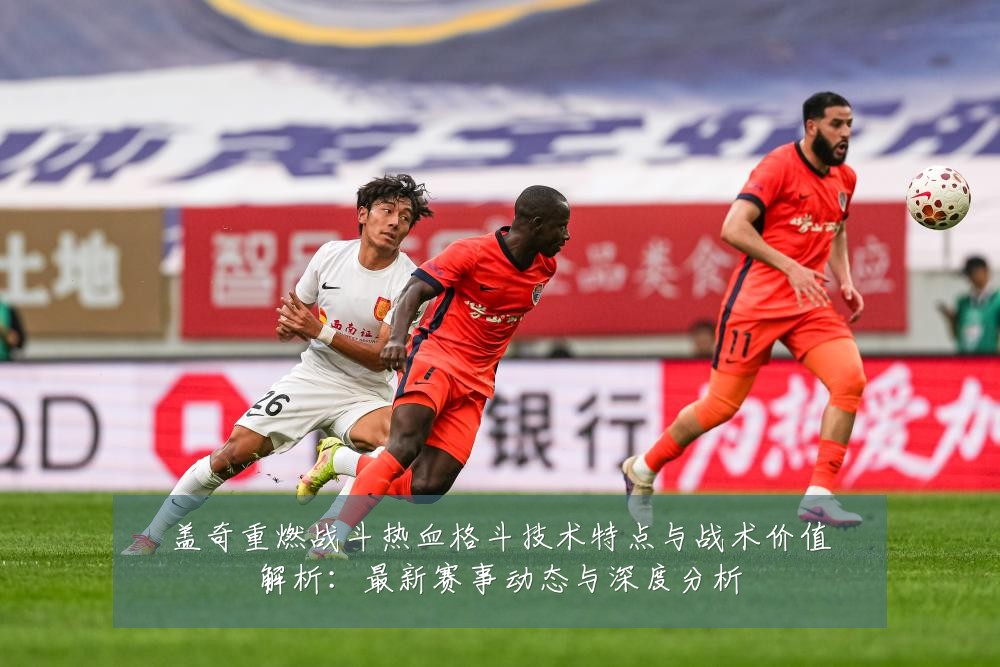盖奇重燃战斗热血格斗技术特点与战术价值解析:最新赛事动态与深度分析
